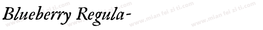 Blueberry Regula字体转换